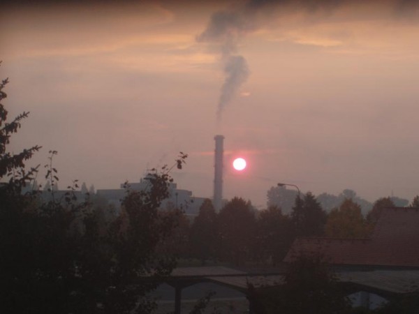 tarzanice.pise.cz