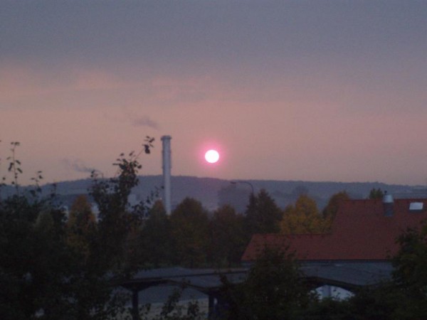 tarzanice.pise.cz
